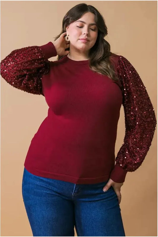 Sequins Sleeve Knit Sweater (Curvy Only)