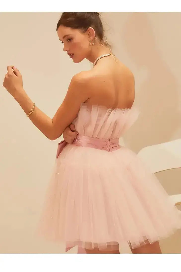 Blush Organza Big Ribbon Mini Dress