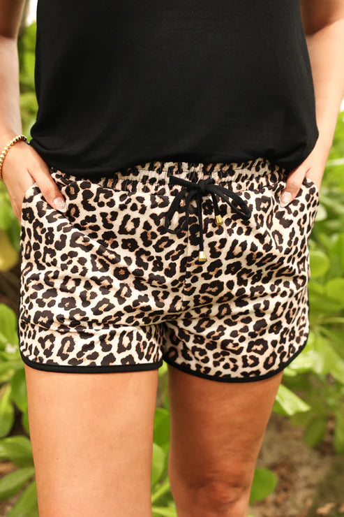 Safari Chic Leopard Everyday Shorts By Jess Lea