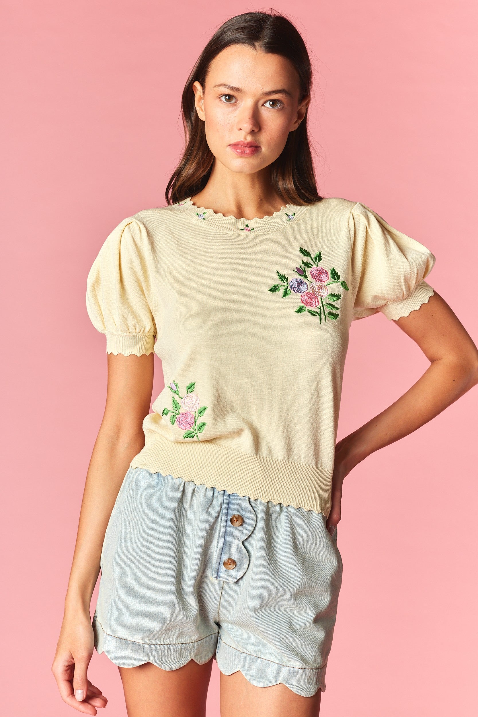 Rosie Romance Embroidered Knit Top By Rareraw