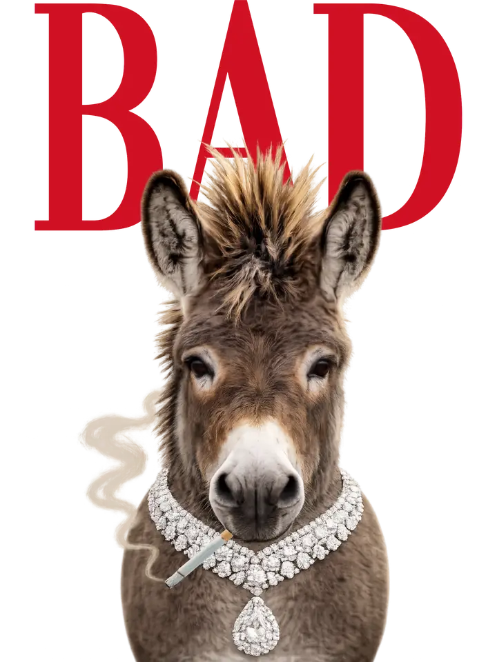 Bad Ass Donkey Graphic Tee By Keep It Gypsy