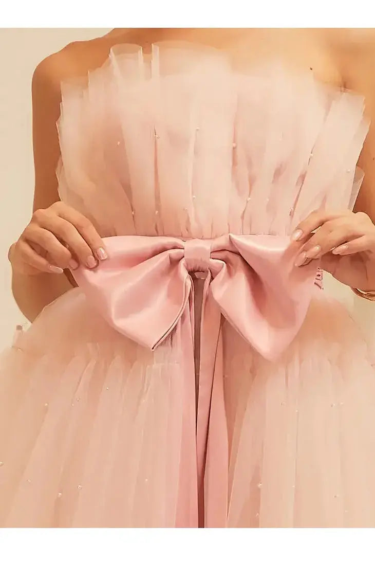 Blush Organza Big Ribbon Mini Dress