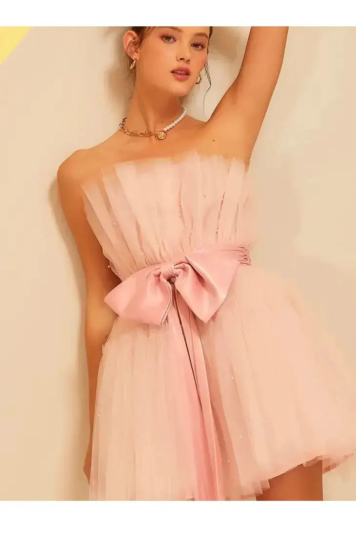Blush Organza Big Ribbon Mini Dress