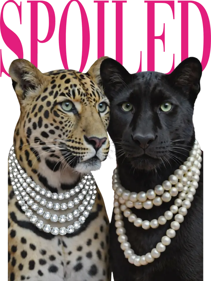 Spoiled Double Leopard Graphic Tee By Keep It Gypsy
