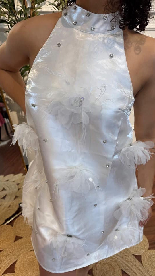 Happily Ever After Mini Dress By INA