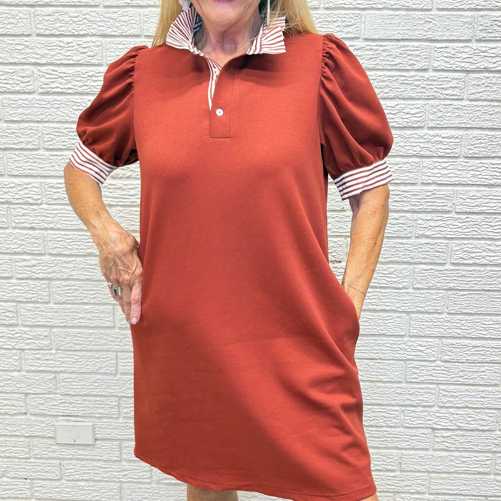 Ruffle Neck Pullover Polo Dress By Entro
