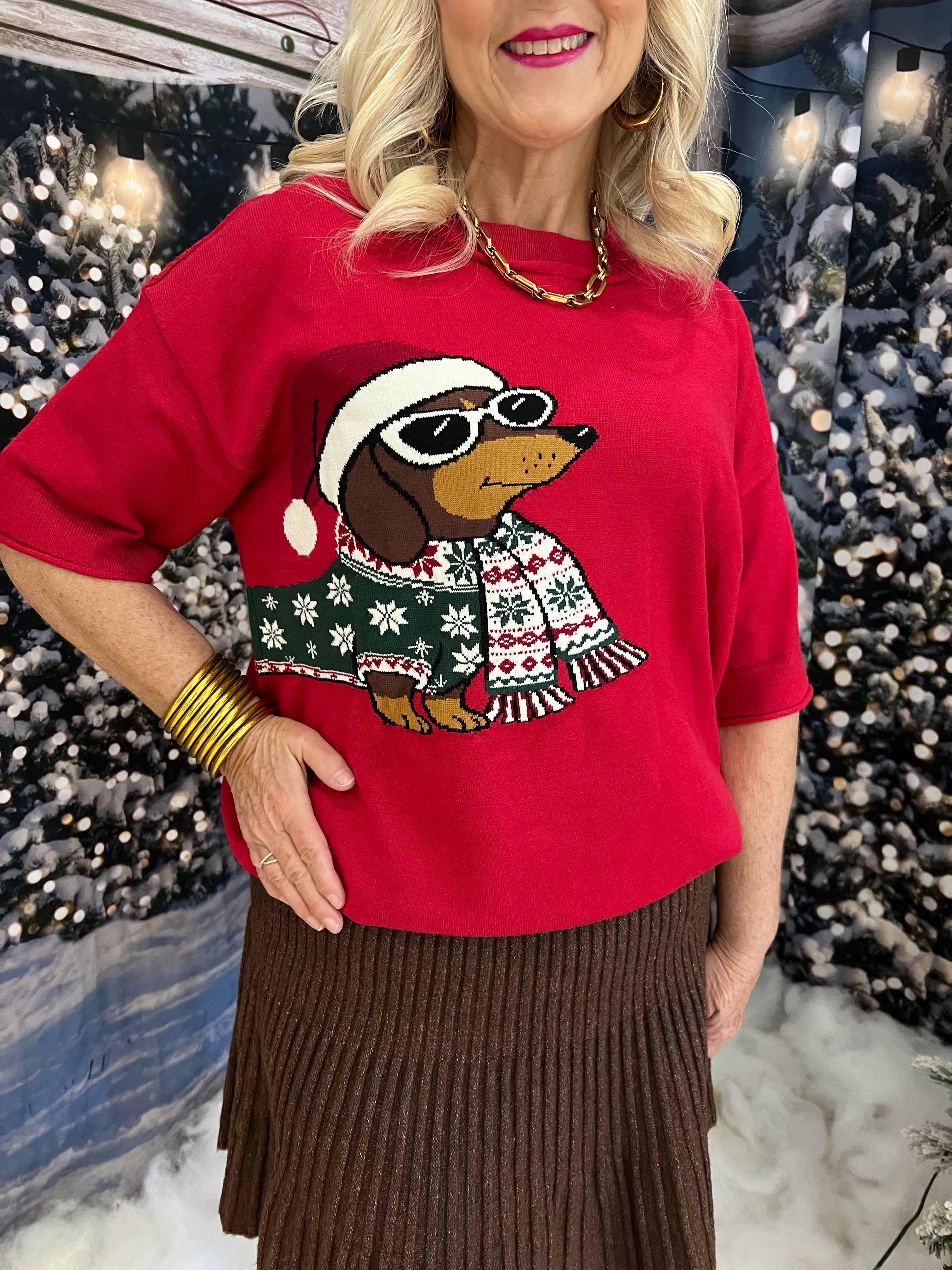 Santa Paws & Holiday Kisses Dachshund Sweater Top