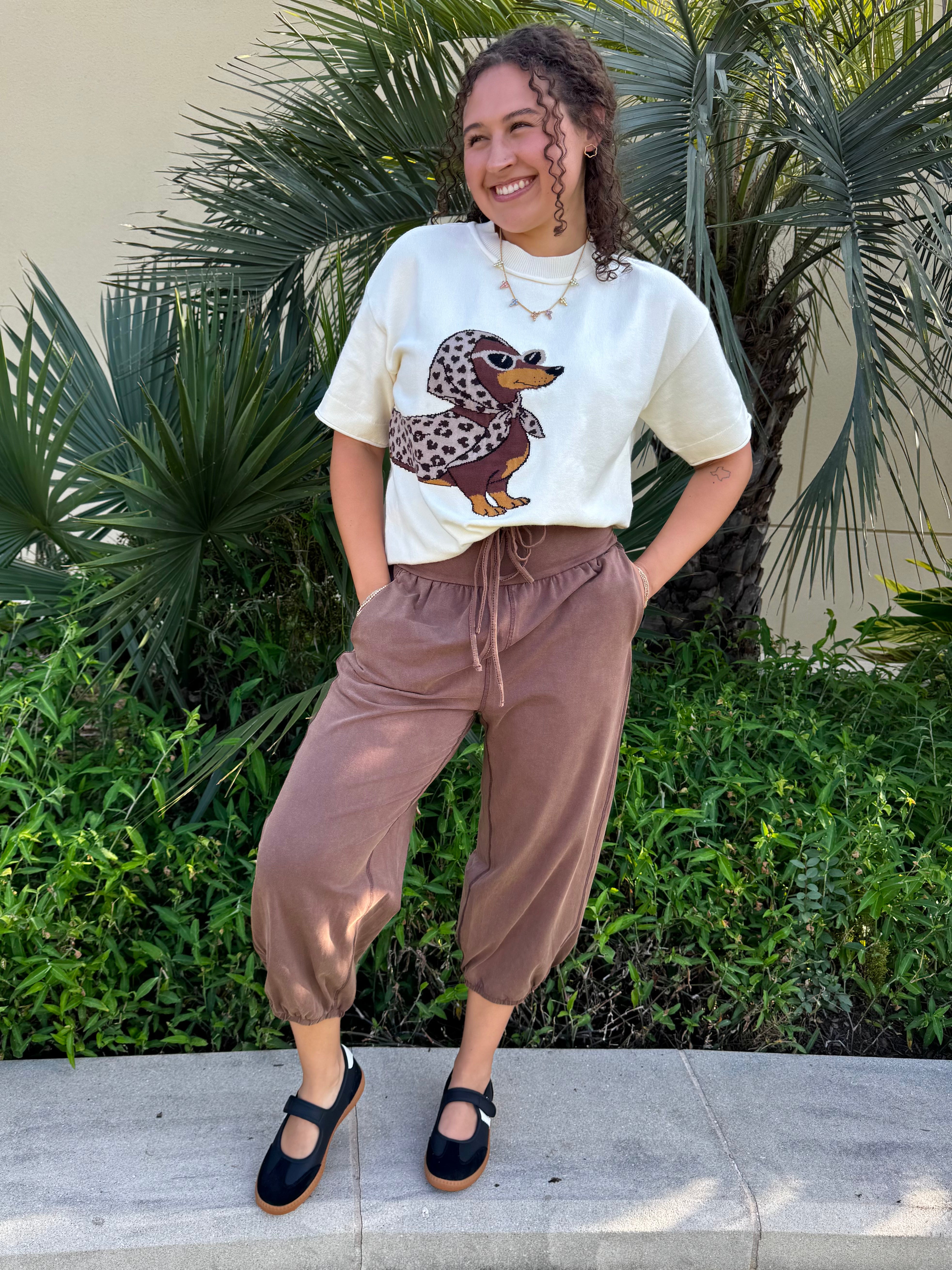 Cocoa Mineral Wash Joggers By EESOME