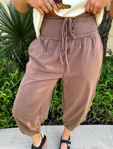 Cocoa Mineral Wash Joggers By EESOME