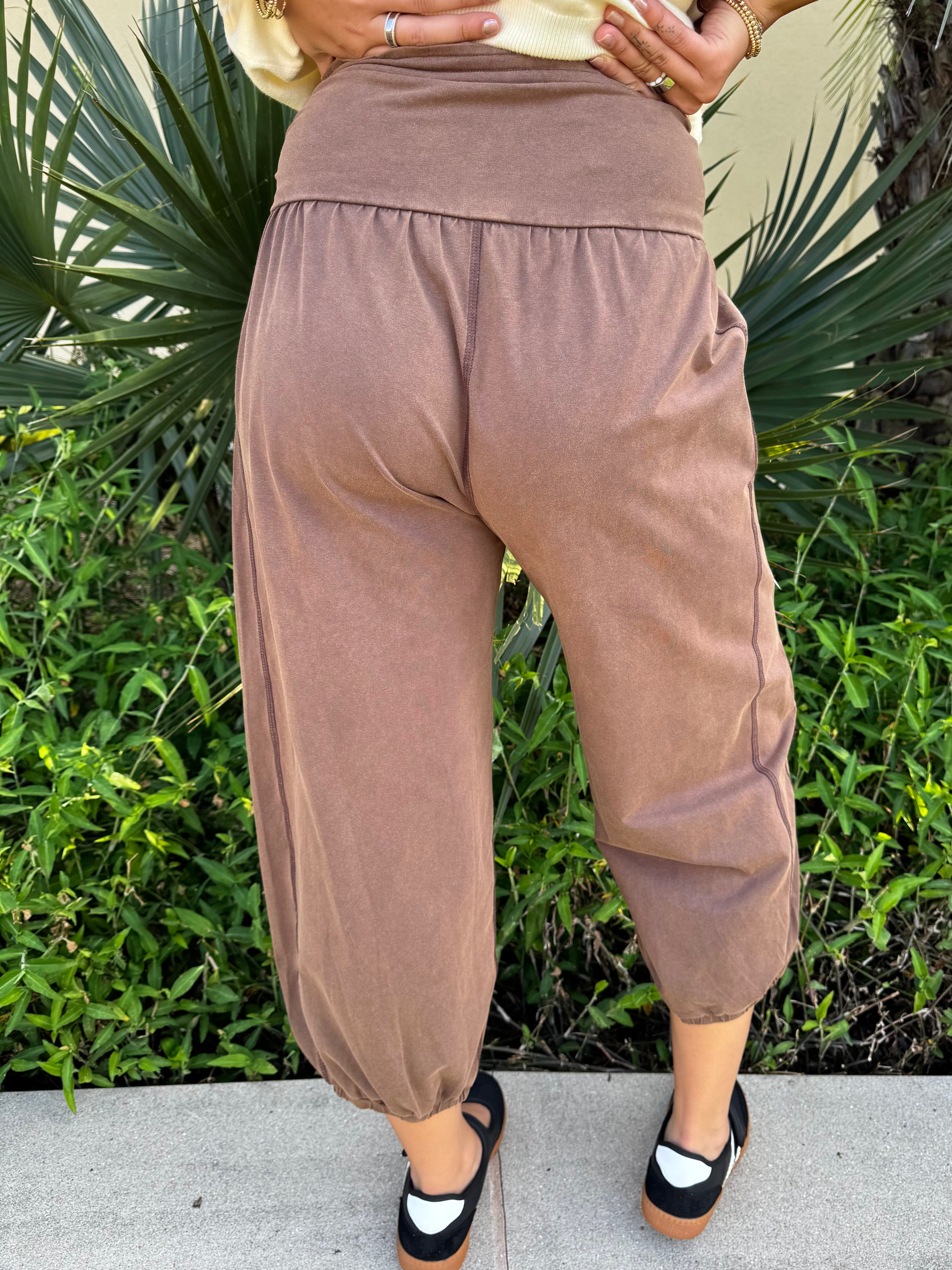 Cocoa Mineral Wash Joggers By EESOME