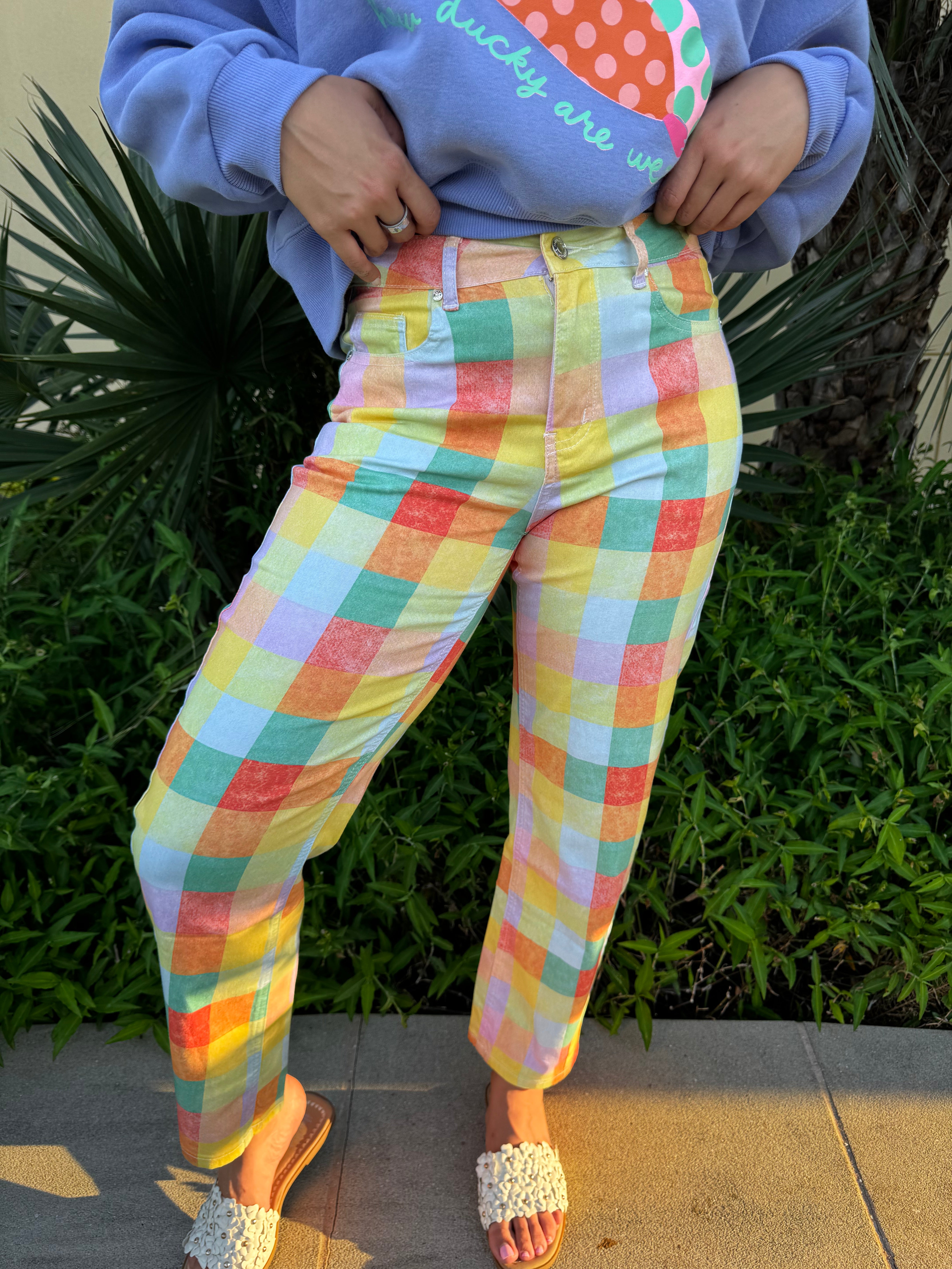 Close-up of woman's midsection showing pastel plaid high-rise barrel pants and a blue sweatshirt with a colorful duck graphic, with her hand resting on her waist.