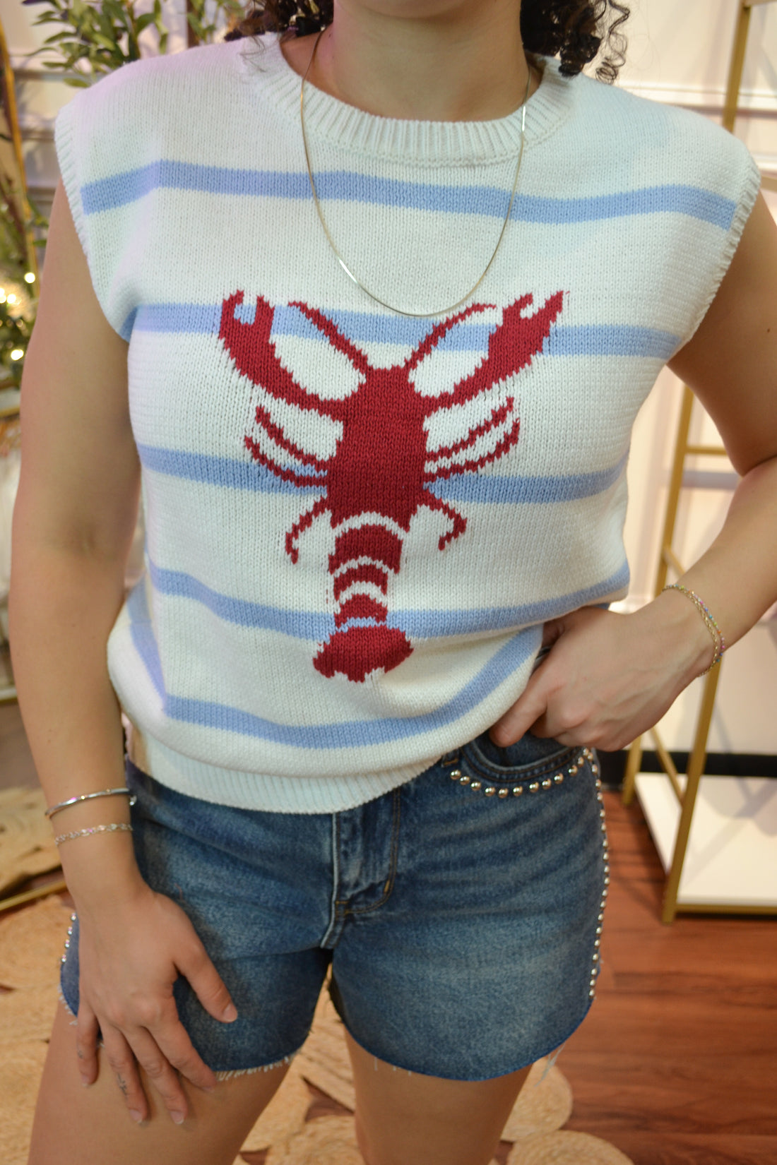 Coastal Catch Lobster Sweater Vest By Abel