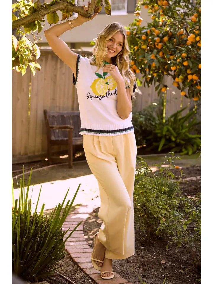 Squeeze the Day Knit Top By Skies are Blue