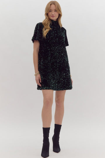 Sequin Embellished Turtleneck Mini Dress