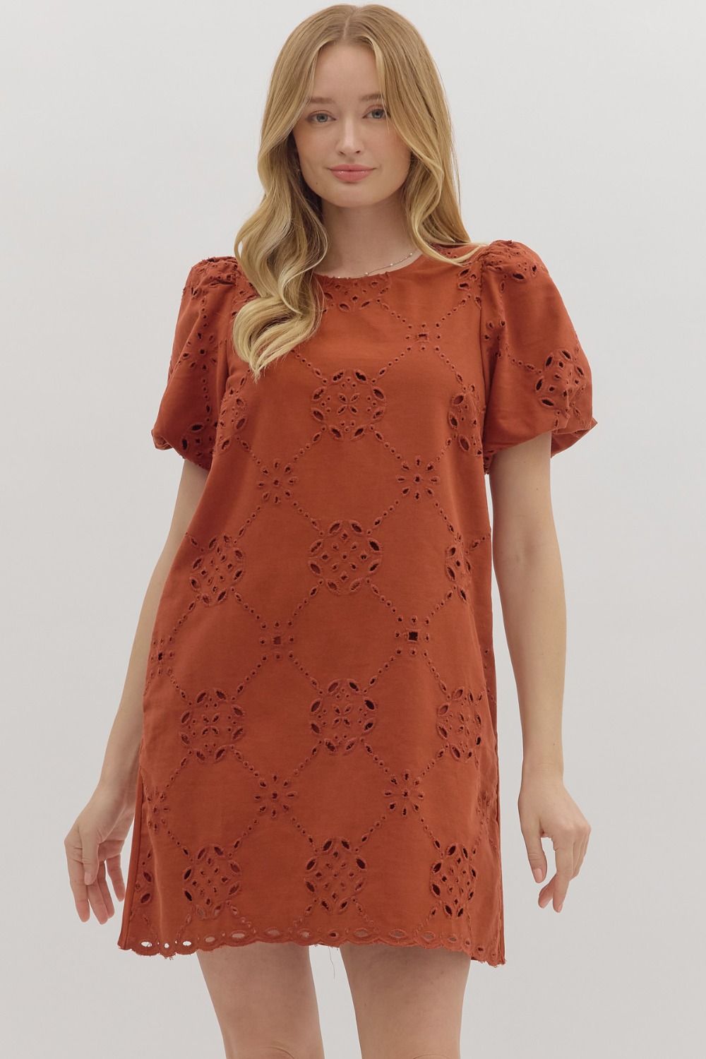 Puff Sleeve Eyelet Mini Dress By Entro