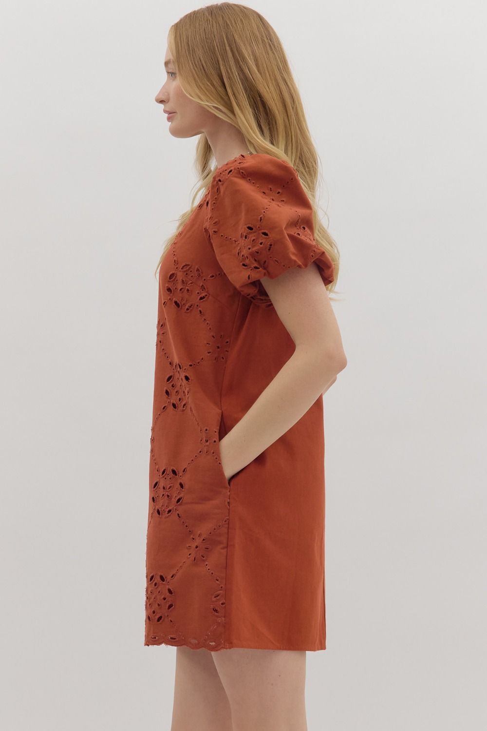 Puff Sleeve Eyelet Mini Dress By Entro