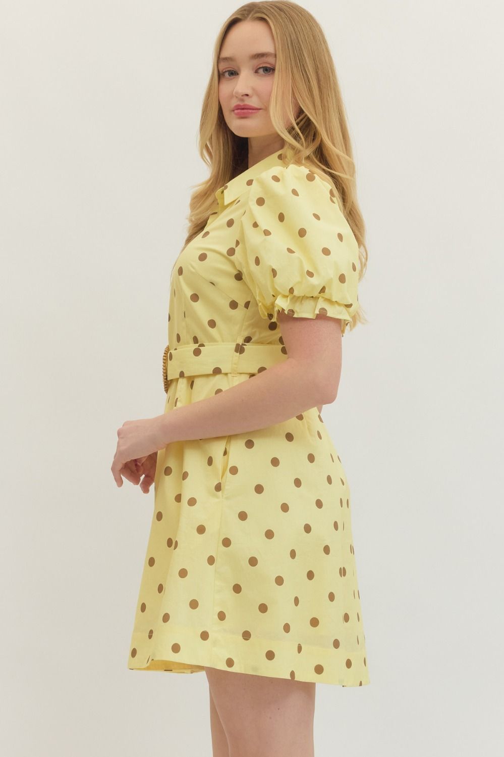 Sunny Side Polka Dress By Entro