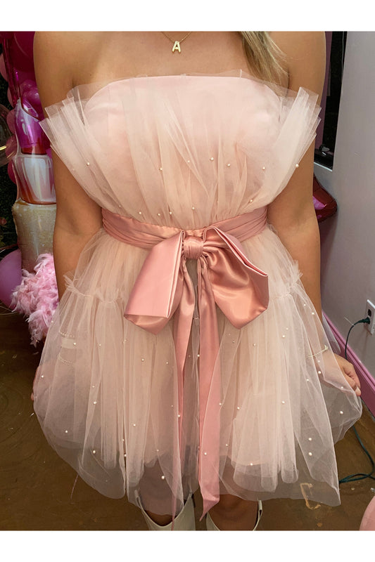 Blush Organza Big Ribbon Mini Dress