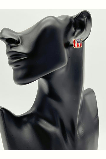 'America flag' Earrings